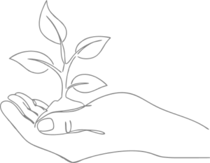 sustainbility leaf